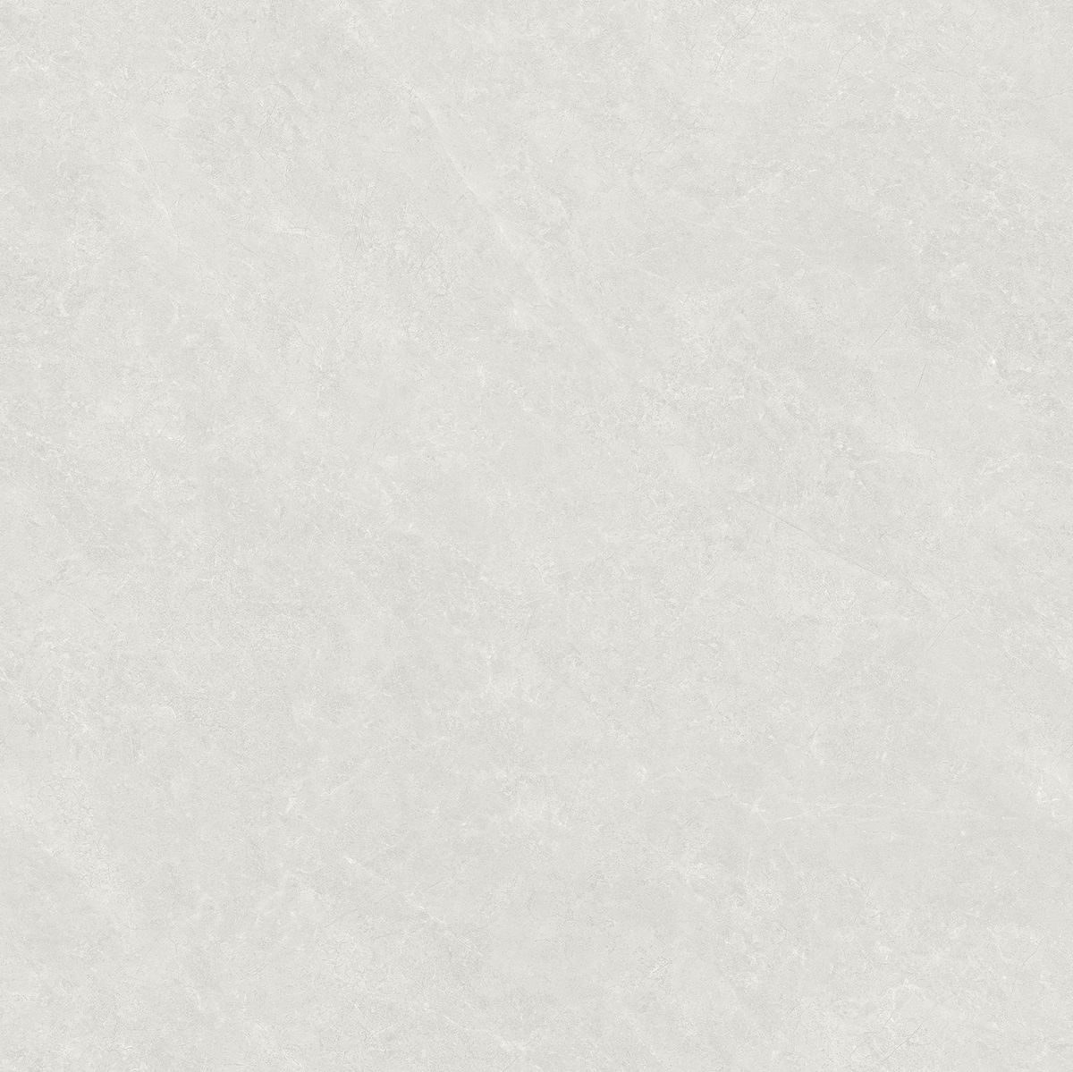 澳门特马王网址