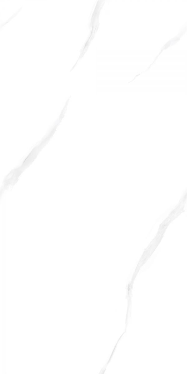 澳门特马王网址