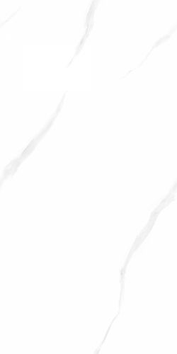 澳门特马王网址