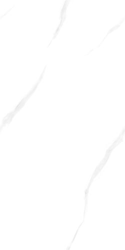 澳门特马王网址